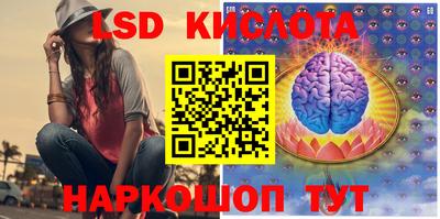 хмурый Сланцы