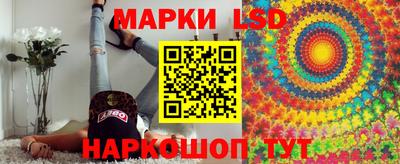 apvp Свободный