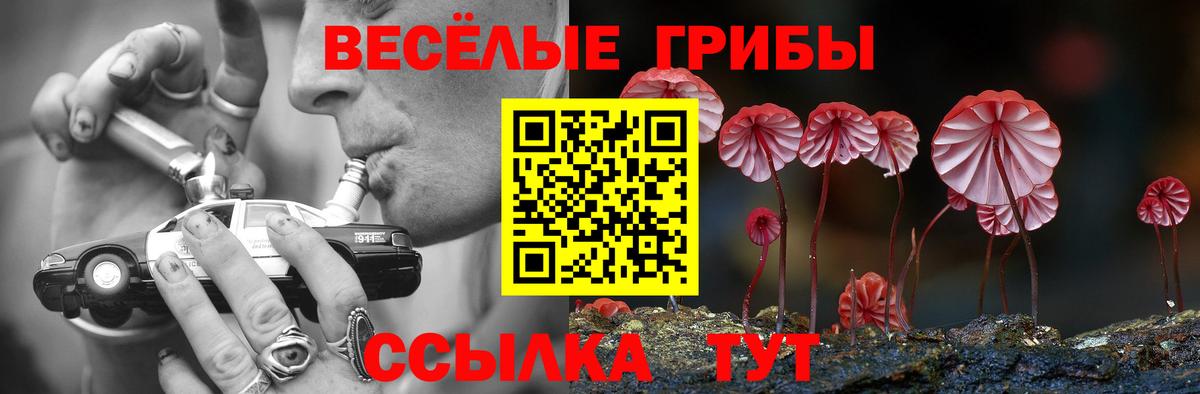Саранск  Псилоцибиновые грибы Cubensis  Псилоцибиновые грибы Psilocybe  Вход с VPN 